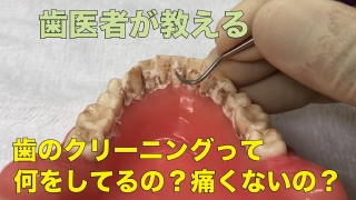 【横浜戸塚　内藤歯科】歯のクリーニングってどんなことをしているの？